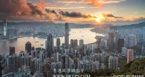 足球即时比分阿联酋-足球即时比分阿联酋，绿茵场上的风云变幻与实时追踪